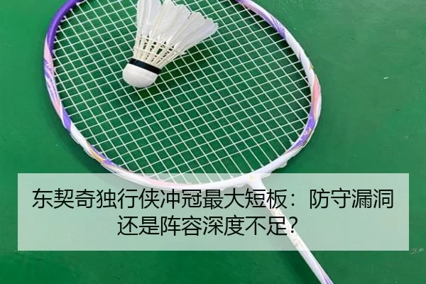 东契奇独行侠冲冠最大短板：防守漏洞还是阵容深度不足？